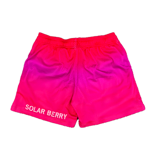 BL "SOLAR BERRY" Shorts